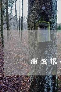 浦发银行信用卡逾期没还