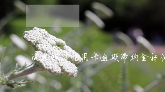 浦发银行信用卡逾期滞纳金标准 浦发银行信用卡逾期滞纳金标准