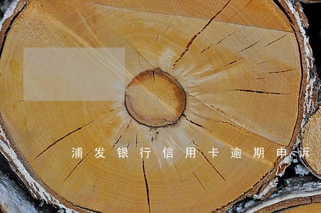 浦发银行信用卡逾期申诉