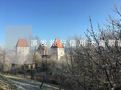 浦发银行信用卡逾期能不能分期 浦发银行信用卡逾期能不能分期