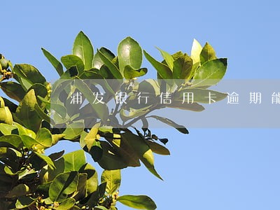 浦发银行信用卡逾期能申请不 浦发银行信用卡逾期能申请不