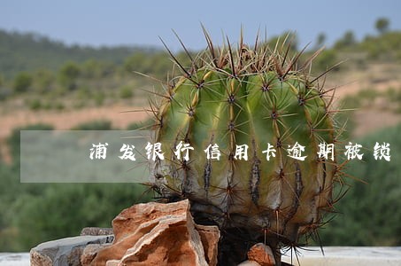 浦发银行信用卡逾期被锁卡 浦发银行信用卡逾期被锁卡