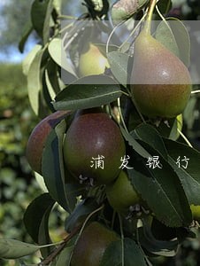 浦发银行信用卡逾期让父母接电话 浦发银行信用卡逾期让父母接电话