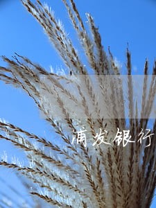 浦发银行信用卡逾期说是要全还