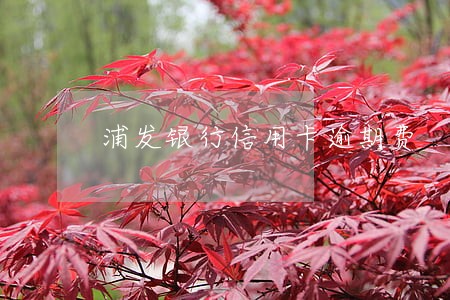 浦发银行信用卡逾期费
