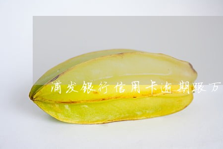 浦发银行信用卡逾期跟万用金 浦发银行信用卡逾期跟万用金