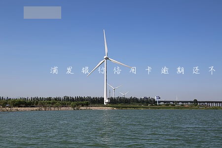 浦发银行信用卡逾期还不起怎样 浦发银行信用卡逾期还不起怎样