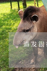 浦发银行信用卡逾期还最低