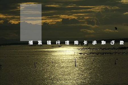 浦发银行信用卡逾期还款多久解冻