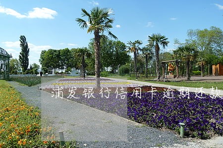 浦发银行信用卡逾期还款方案