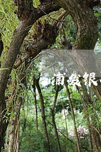 浦发银行信用卡逾期还款额 浦发银行信用卡逾期还款额