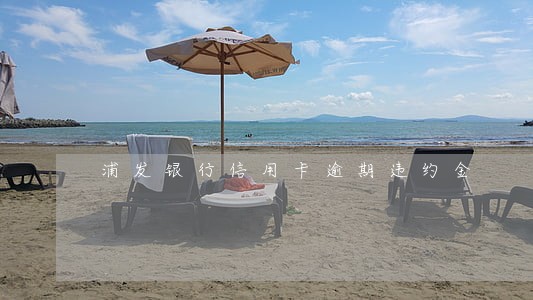 浦发银行信用卡逾期违约金 浦发银行信用卡逾期违约金