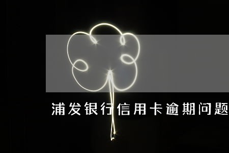 浦发银行信用卡逾期问题 浦发银行信用卡逾期问题