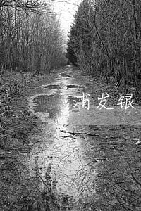 浦发银行协商还款只还本金 浦发银行协商还款只还本金