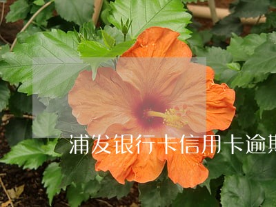 浦发银行卡信用卡逾期怎么协商 浦发银行卡信用卡逾期怎么协商