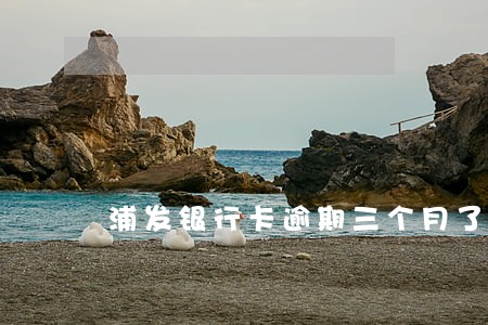 浦发银行卡逾期三个月了怎么办 浦发银行卡逾期三个月了怎么办