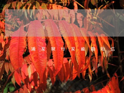 浦发银行发逾期短信 浦发银行发逾期短信