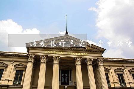 浦发银行只还本金申请书