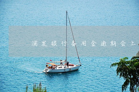 浦发银行备用金逾期会上征信吗 浦发银行备用金逾期会上征信吗