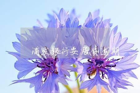 浦发银行安居贷逾期 浦发银行安居贷逾期