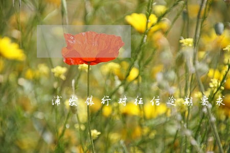 浦发银行对征信逾期要求 浦发银行对征信逾期要求