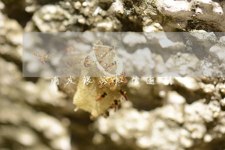 浦发银行征信逾期 浦发银行征信逾期