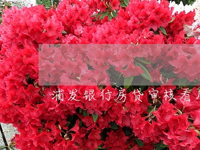 浦发银行房贷审核看几年内逾期 浦发银行房贷审核看几年内逾期