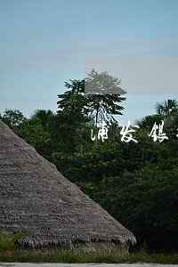 浦发银行房贷还款逾期一天怎么办 浦发银行房贷还款逾期一天怎么办