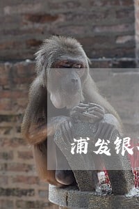 浦发银行房贷逾期一天