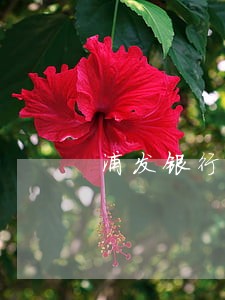 浦发银行房贷逾期怎么消除 浦发银行房贷逾期怎么消除