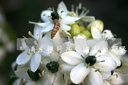 浦发银行房贷逾期的期限 浦发银行房贷逾期的期限