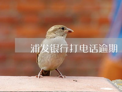 浦发银行打电话逾期 浦发银行打电话逾期