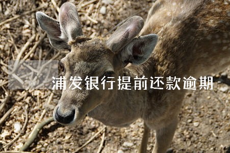 浦发银行提前还款逾期 浦发银行提前还款逾期