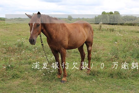 浦发银行欠款10万逾期6个月 浦发银行欠款10万逾期6个月