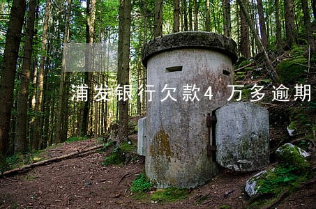 浦发银行欠款4万多逾期3个月 浦发银行欠款4万多逾期3个月