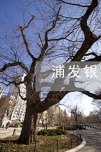 浦发银行消贷易利息逾期6 浦发银行消贷易利息逾期6