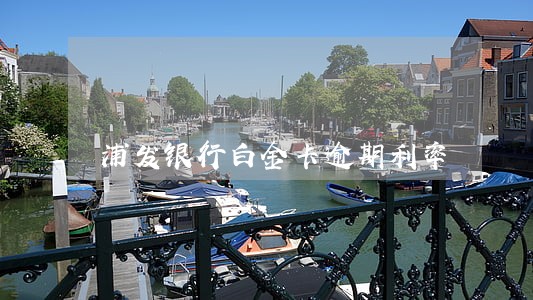 浦发银行白金卡逾期利率 浦发银行白金卡逾期利率