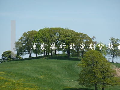 浦发银行的逾期贷款利率 浦发银行的逾期贷款利率