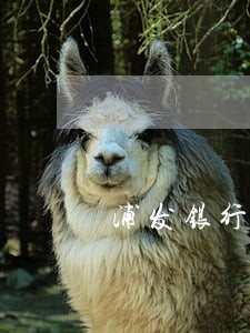 浦发银行直系亲属逾期 浦发银行直系亲属逾期