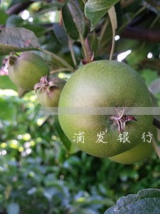 浦发银行网贷逾期一天 浦发银行网贷逾期一天