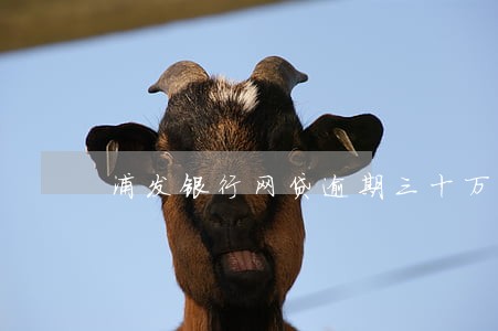 浦发银行网贷逾期三十万本金 浦发银行网贷逾期三十万本金