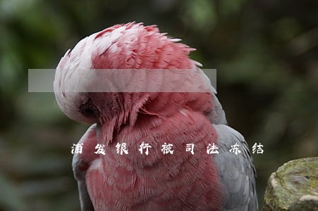 浦发银行被司法冻结