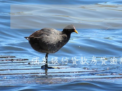 浦发银行贷款房贷逾期两个月 浦发银行贷款房贷逾期两个月