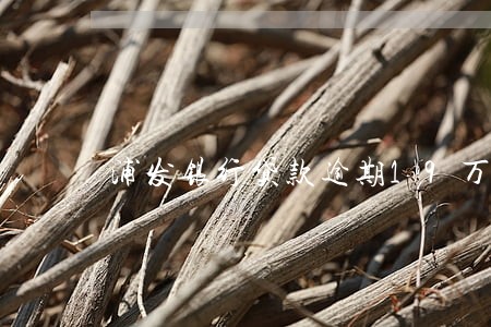 浦发银行贷款逾期19万 浦发银行贷款逾期19万