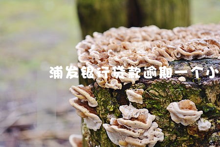 浦发银行贷款逾期一个小时 浦发银行贷款逾期一个小时