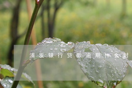 浦发银行贷款逾期什么时候扣 浦发银行贷款逾期什么时候扣