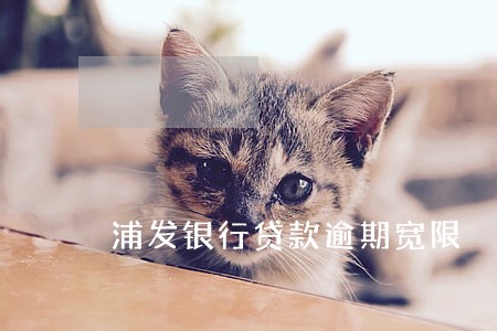 浦发银行贷款逾期宽限 浦发银行贷款逾期宽限