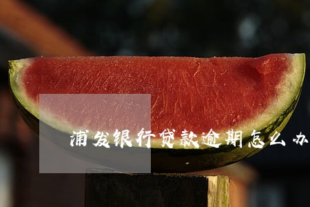 浦发银行贷款逾期怎么办 浦发银行贷款逾期怎么办