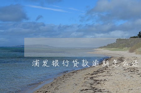 浦发银行贷款逾期怎么还钱 浦发银行贷款逾期怎么还钱