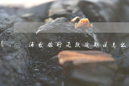 浦发银行还款逾期该怎么处理 浦发银行还款逾期该怎么处理